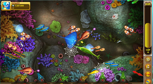 choi-ban-ca-kiem-ban-ca-vtc